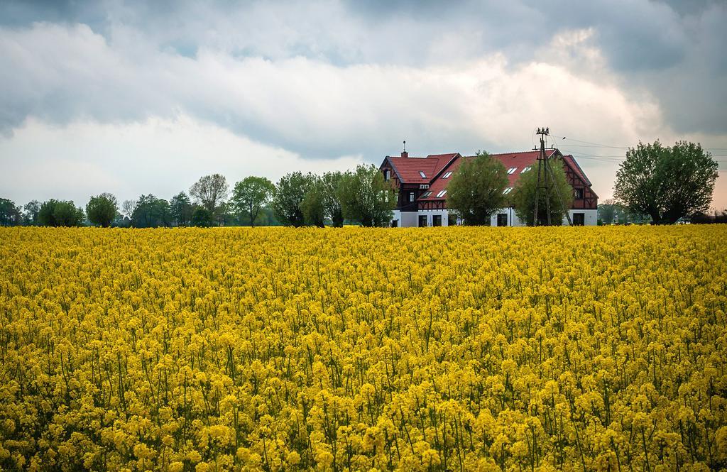 Inn Folwark Zulawski